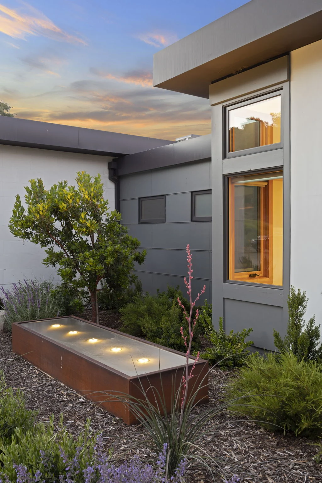 Courtyard water feature and planting at dusk